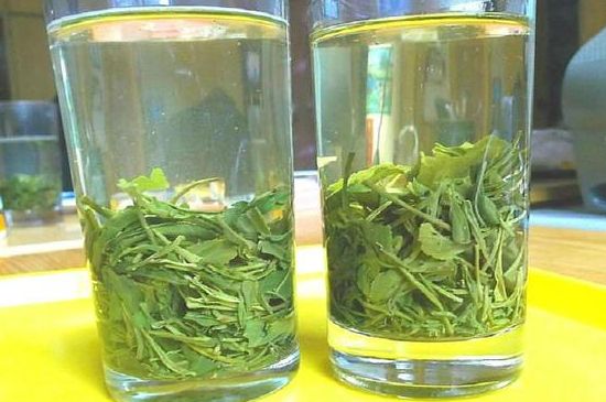 茶葉為什么不能亂送人，買茶葉一次送一盒還是兩盒