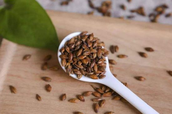 大麥茶上火嗎，喝大麥茶會(huì)不會(huì)上火？