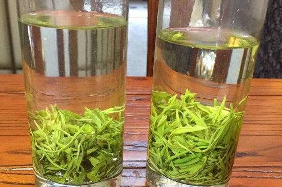 黃金茶的功效及禁忌癥，黃金茶有什么副作用嗎？