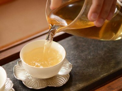 茶葉的專業(yè)知識，關(guān)于茶的基本知識大全