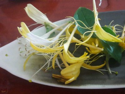 喝茶治口臭嗎，什么茶治口臭好？