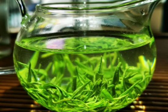 喝黃金茶禁忌，什么人不能喝黃金芽茶？