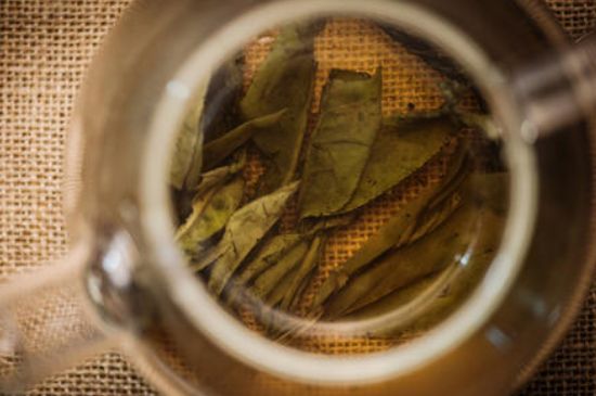 苦丁茶副作用，苦丁可以經(jīng)常喝嗎？