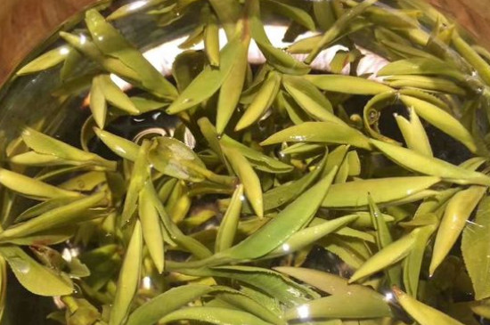 八大茶系都有哪幾種，八大茶系都是什么名字