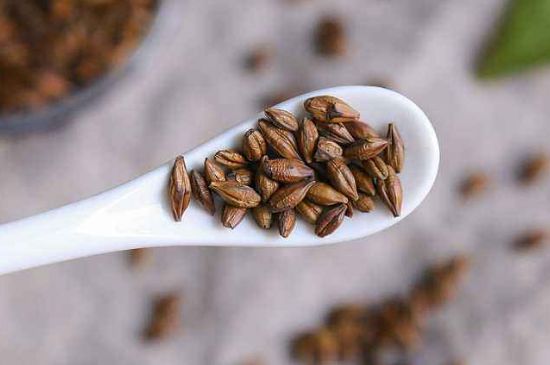 飯店的大麥茶為什么那么香，自己泡的蕎麥茶沒飯店香