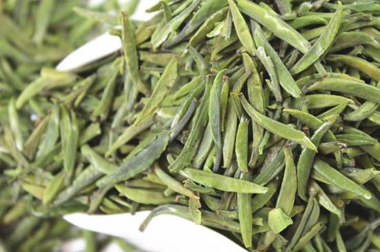 雀舌茶什么人不能喝，雀舌茶的功效與禁忌