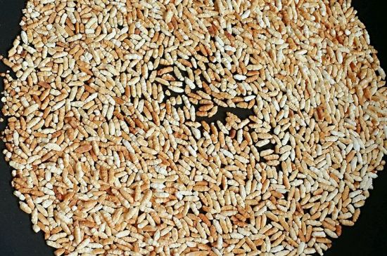 玄米茶是紅茶嗎，玄米茶怎么喝