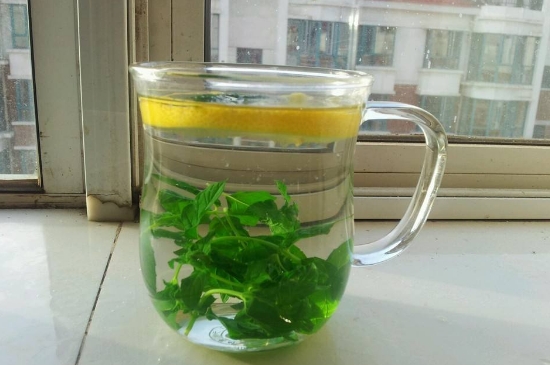 薄荷茶的功效與作用，喝薄荷茶有什么好處？