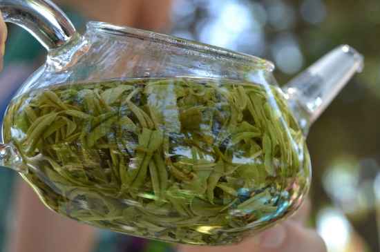 新手學(xué)泡茶的基本常識(shí)，從零開始學(xué)泡茶