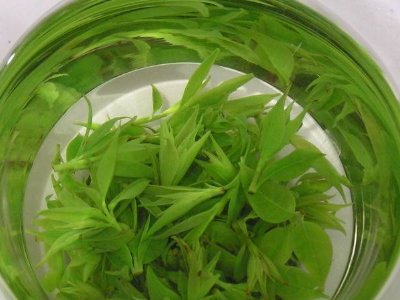 茶葉具有什么功效，茶葉的功效與作用大全