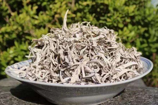 麗江雪茶的功效與作用，白雪茶有什么功效和作用