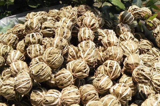 鷓鴣茶的禁忌，海南鷓鴣茶副作用