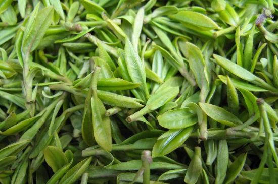 世界最貴的茶葉排行榜，十大最貴的茶