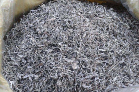 怎樣辨別莓茶發(fā)霉了，莓茶發(fā)霉和白霜的區(qū)別