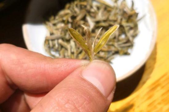 六大茶類哪種適合長期存放，日常如何保存方法一覽？