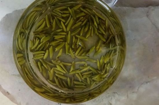 茶葉在哪里買比較好，哪里能買到好的茶葉