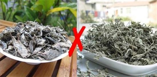 張家界茅巖莓茶與藤茶是同一種茶嗎，藤茶跟莓茶一不一樣？