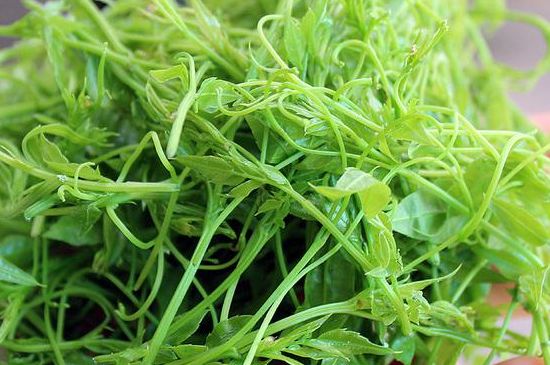 茅巖莓茶別名是什么，莓茶別名叫藤茶嗎？