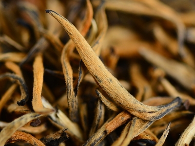 怎么知道什么茶葉適合自己，怎么判斷自己適合喝什么茶？