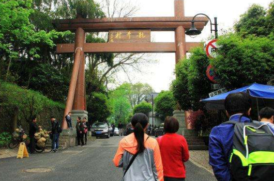 杭州買龍井茶攻略，怎么買到正宗的西湖龍井？