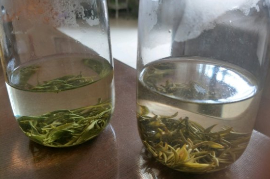 真假碧螺春泡水后區(qū)別，蘇州洞庭碧螺春怎樣鑒別好壞？