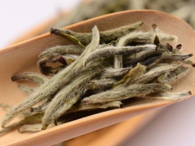 白毫銀針放幾年最好，白毫銀針什么年份最好？