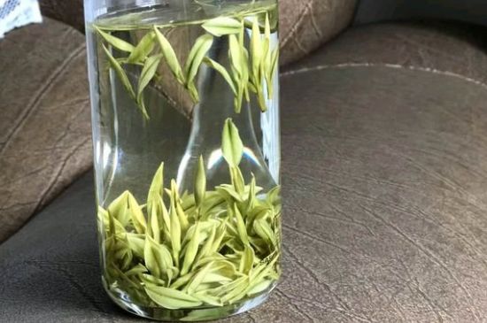 安吉白茶夏天怎么保存，安吉白茶能冷凍儲存嗎？