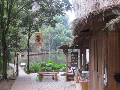 實體店買茶葉的技巧，新手買茶須知