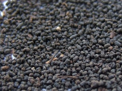 圓形顆粒狀茶是什么茶，像飼料一樣一粒粒的是什么茶？