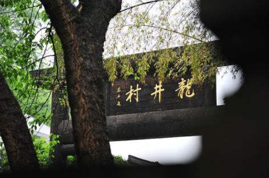 杭州買龍井茶攻略，怎么買到正宗的西湖龍井？