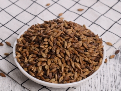 圓形顆粒狀茶是什么茶，像飼料一樣一粒粒的是什么茶？