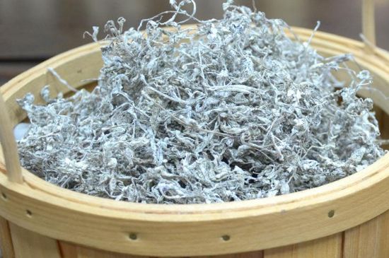 張家界莓茶真假對比，野生莓茶的鑒別方法