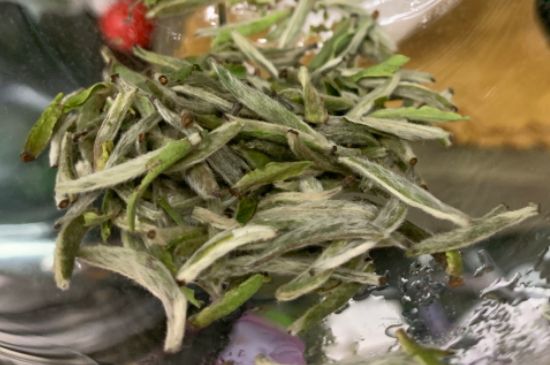 蒸汽煮茶器適合什么茶，蒸汽煮茶器適合用綠茶嗎？
