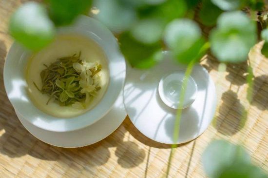 茉莉花茶6種人不要喝，什么體質(zhì)不適合喝茉莉花茶？