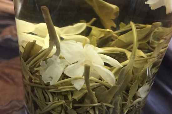 女孩喝茉莉茶的好處，茉莉茶葉的功效與禁忌