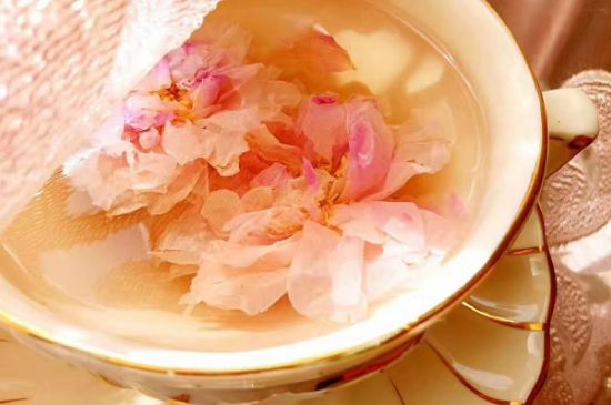 玫瑰花茶一周喝幾次，玫瑰花茶可以天天喝嗎？