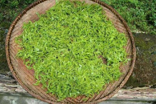 茅巖莓茶加工工藝，莓茶的工藝制作過(guò)程