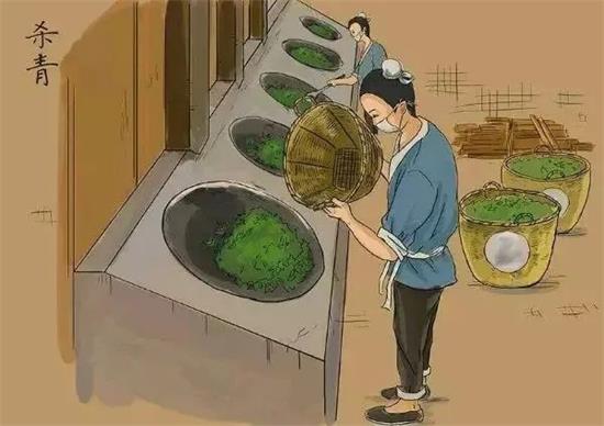 制茶八步驟，制茶工藝流程圖