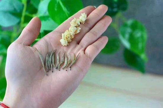 茉莉銀針口感，茉莉銀針是什么味道？