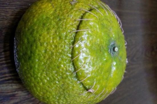 家庭自制柑普茶方法，小青柑制作9個步驟竅門（圖片）