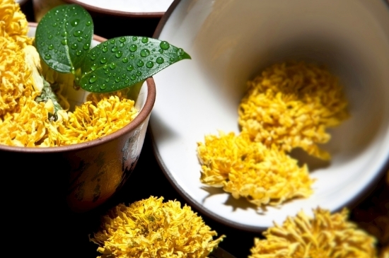 孕婦可以喝菊花茶嗎，菊花對胎兒有致畸作用？