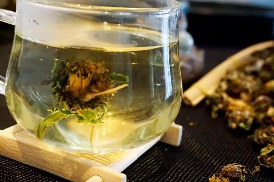 蒲公英最佳搭配，蒲公英茶和什么搭配泡水最佳