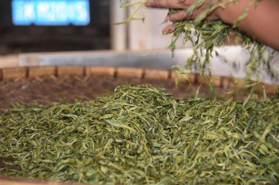 炒青綠茶與綠茶的區(qū)別，烘青和炒青哪個(gè)好喝？