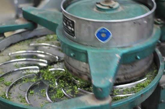 武夷巖茶的初制、精制加工工藝詳細講解