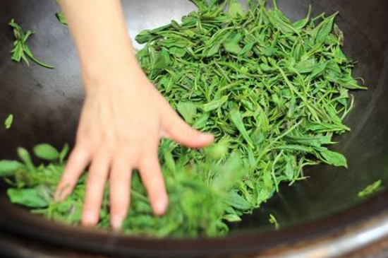炒青綠茶與綠茶的區(qū)別，烘青和炒青哪個(gè)好喝？