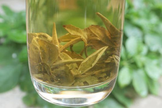 茉莉龍珠泡開后為什么都是梗，茉莉龍珠泡開后什么樣？