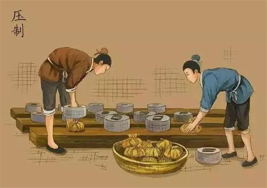 制茶八步驟，制茶工藝流程圖