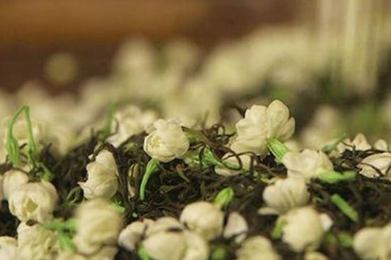 蒸茶器可以蒸花茶嗎，蒸茶器能用來(lái)蒸茉莉花茶嗎？