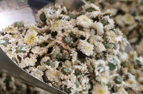 菊花茶買小朵還是大朵，泡茶用的小菊花和大菊花哪個好