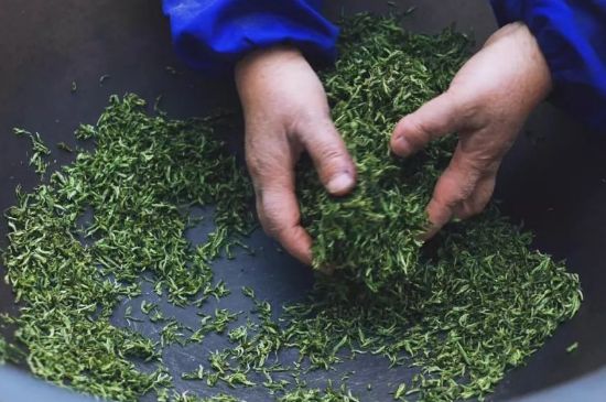 自家炒茶葉怎么炒，自己炒茶葉的步驟